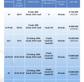 CÁC KHÓA HỌC TIẾNG PHẦN VÀ HỌC PHÍ 