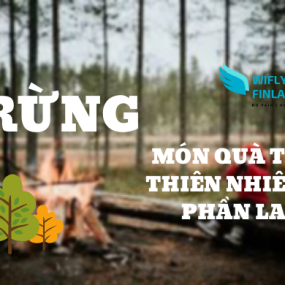 RỪNG MÓN QUÀ TỪ THIÊN NHIÊN PHẦN LAN