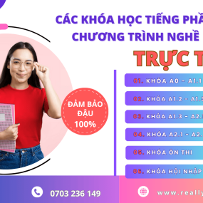 CÁC KHÓA HỌC TIẾNG PHẦN TRỰC TIẾP CHƯƠNG TRÌNH NGHỀ