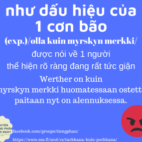 THÀNH NGỮ TIẾNG PHẦN LAN - Học Tiếng Phần Lan Online Miễn Phí - Wifly Finland