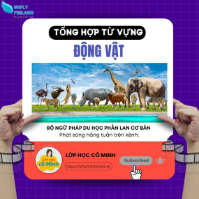 Bộ tổng hợp ngữ ph&aacute;p để đi du học nghề Phần Lan: Động vật