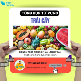 Tổng hợp ngữ ph&aacute;p cần thiết khi du học nghề Phần Lan: Tr&aacute;i C&acirc;y