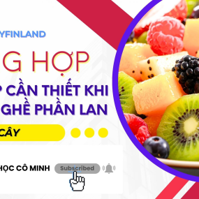 Tổng hợp ngữ ph&aacute;p cần thiết khi du học nghề Phần Lan: Tr&aacute;i C&acirc;y