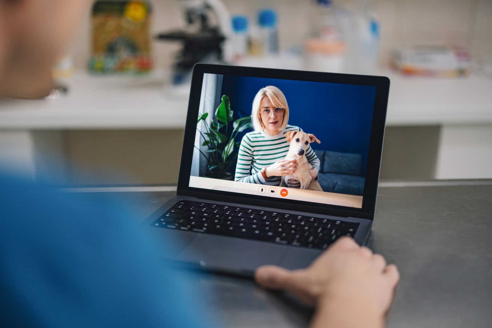 học tiếng Phần Lan qua video Wifly Finland
