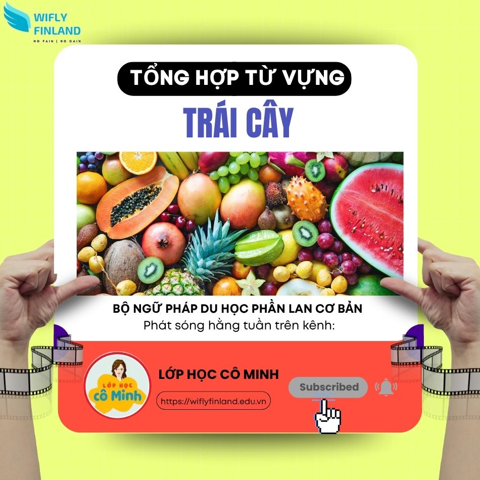 tổng hợp ngữ pháp du học nghề Phần Lan trái cây