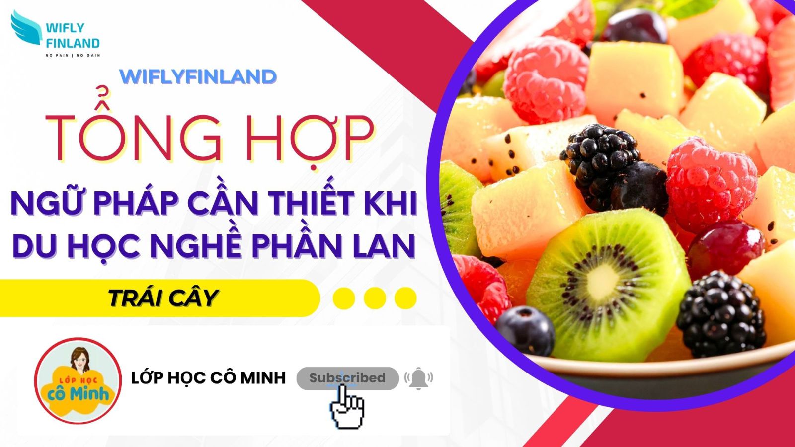 tổng hợp ngữ pháp du học nghề Phần Lan trái cây