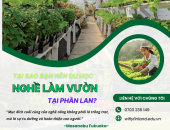 TẠI SAO BẠN NÊN DU HỌC NGHỀ LÀM VƯỜN TẠI PHẦN LAN? 